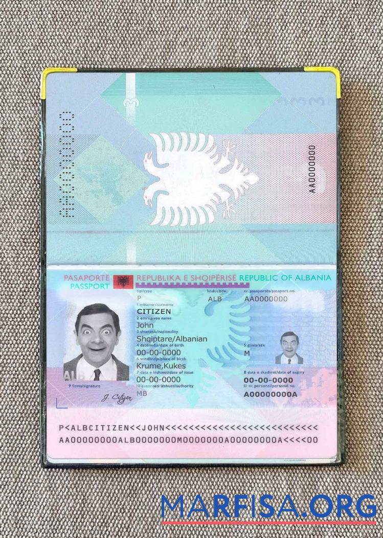 Downloadable Albania passport photo look template